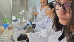 Cursos técnicos gratuitos em Goiás 2026:&hellip;